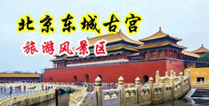 午夜肏逼国产影院中国北京-东城古宫旅游风景区